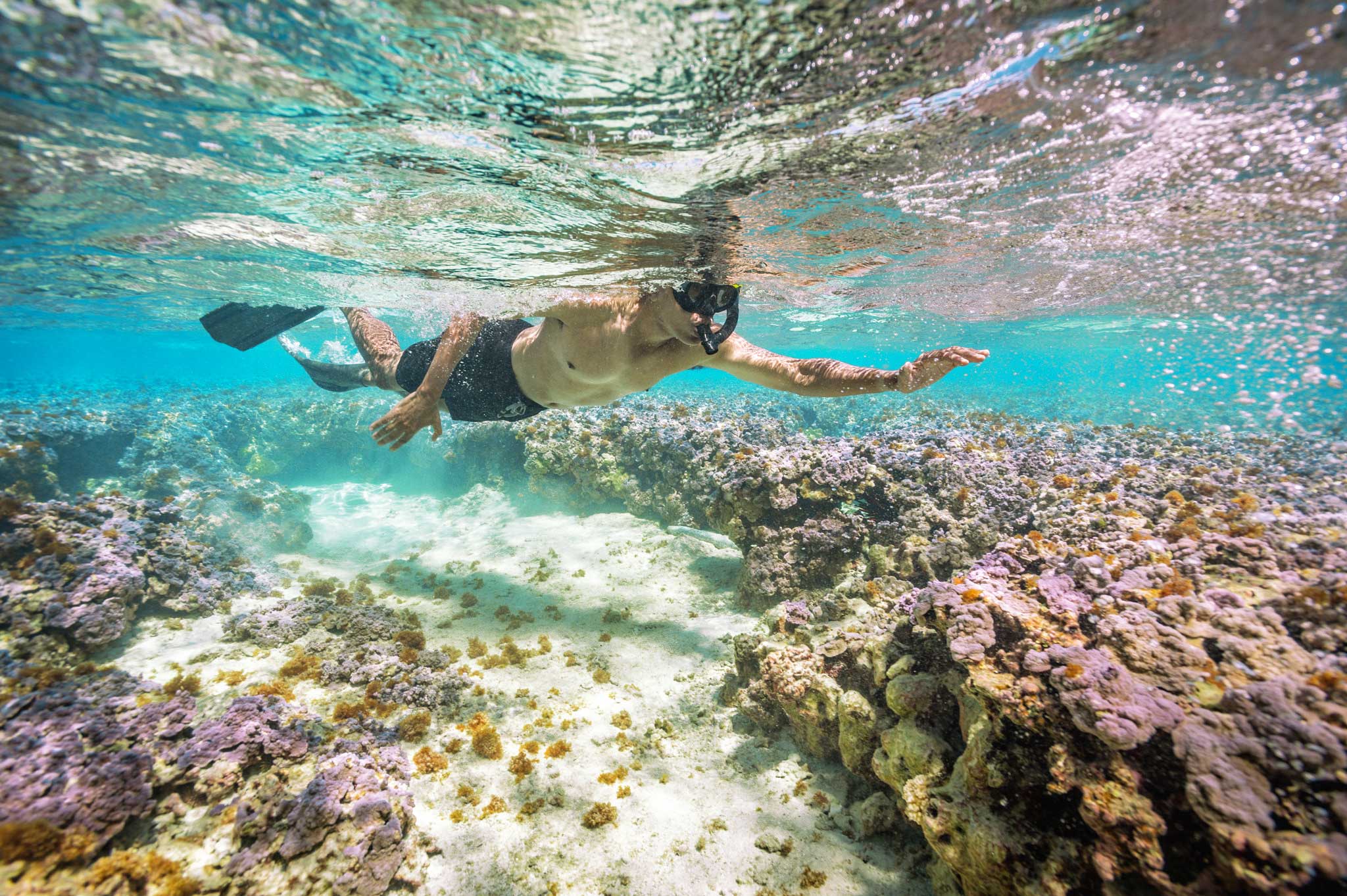 Hanauma Bay Snorkel Adventure Tours Best Snorkeling In Oahu Hawaii