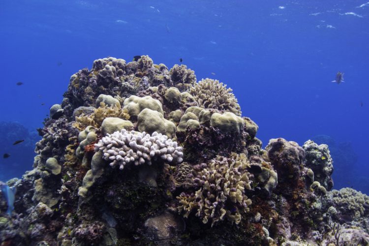 3B11D60C-8ADA-4A90-A5C4-33CDDE088BA0-750×500