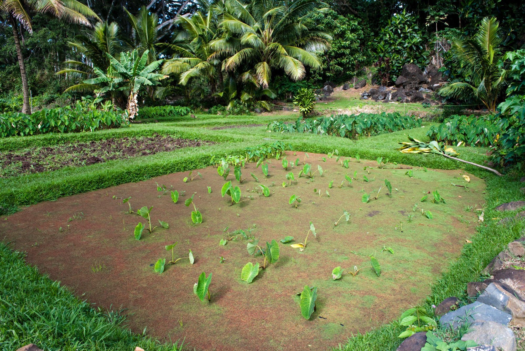 8E82E7FC-2C3D-4DF8-8860-4686187F8BE6